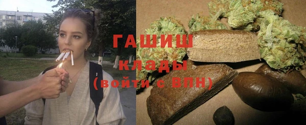 стаф Богданович